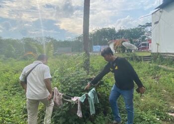 Satnarkoba Polres Mesuji Amankan 2 Kilogram Sabu Di Bawah Pohon Kelapa