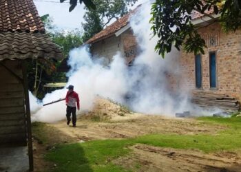 Meningkat Drastis, Dinkes Tubaba Catat 352 Kasus DBD Hingga November 2022