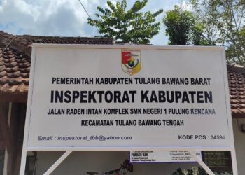 Penanganan Dugaan Penyimpangan Realisasi DD, Inspektorat Kurang Profesional