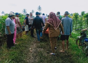 Geger, Warga Lampung Tengah Ditemukan Gantung Diri Di Perkebunan Pringsewu