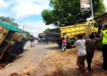Kelebihan Muatan Truk Bermuatan 10 Ton Kelapa Sawit Terguling di Pringsewu