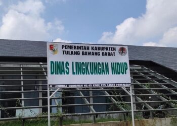 DLH Tubaba Programkan Pengadaan Bibit Bungur