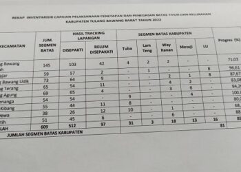 85,47 Persen Segmen Batas Tiyuh Telah Disepakati, Target Tahun ini Selesai