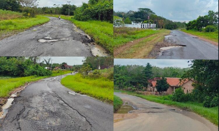 Warga Keluhkan Jalan Provinsi di Tubaba Banyak Rusak