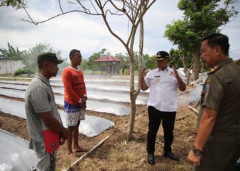 Petani Milenial, Coba Bertani di Kebun Edukasi.