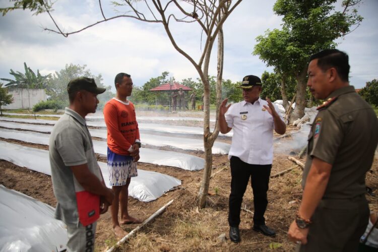 Petani Milenial, Coba Bertani di Kebun Edukasi.