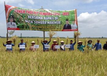 Panen Raya Padi, Sulpakar : Ini Kesuksesan Kita Bersama