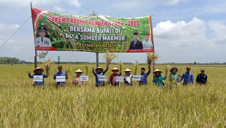 Panen Raya Padi, Sulpakar : Ini Kesuksesan Kita Bersama