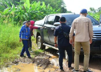 Jalan Berlumpur, Tak Menyurutkan Niat Sulpakar Panen Raya Padi Di Sumber Makmur 