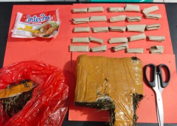 Ditangkap Didua Lokasi, Pengedar Ganja Diringkus Satresnarkoba Polres Lampura