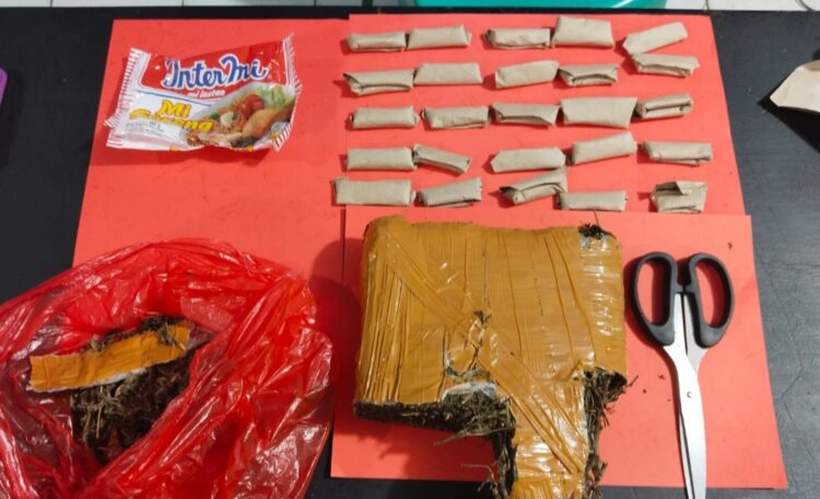 Ditangkap Didua Lokasi, Pengedar Ganja Diringkus Satresnarkoba Polres Lampura