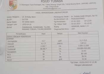 Awal Maret Wabah DBD Menjangkit Warga, Dinkes Belum Bertindak.