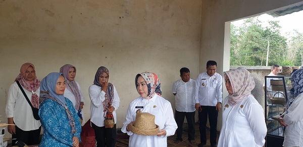 Lestarikan Budaya, Pemkab Tubaba Dukung Pengembangan Tanaman dan Kerajinan Tikeu