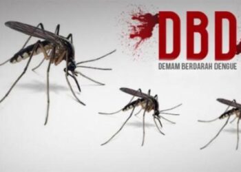 Intensitas Hujan Tinggi, Dinkes Tubaba Imbau Masyarakat Berprilaku Hidup Sehat