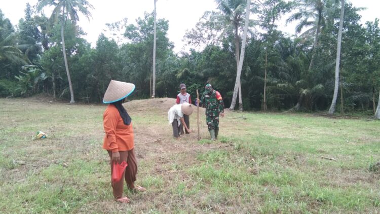 Bantu petani, Babinsa Kodim 0421 Terjun langsung ke lokasi pertanian.