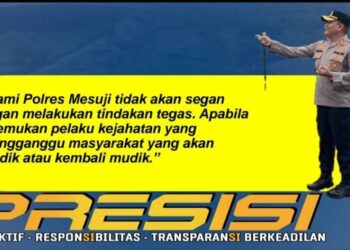 Ganggu Pemudik, Polres Mesuji Akan Tindak Tegas Pelakunya