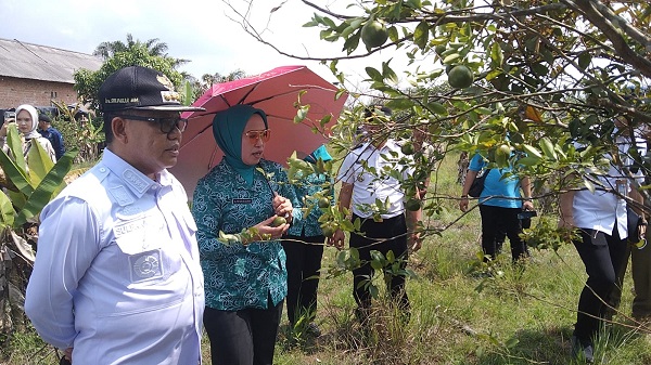 Kunker Ke Desa Sungai Cambai, Sulpakar Bawa Banyak Bantuan