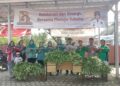 Cegah stunting Tiyuh Bandar Dewa Panen Sayuran Dibagikan Ke Warga