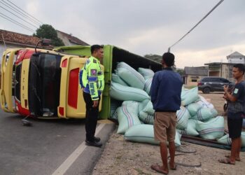 Pecah Ban, Truk Pengangkut Gabah Terguling di Jalinbar Pringsewu