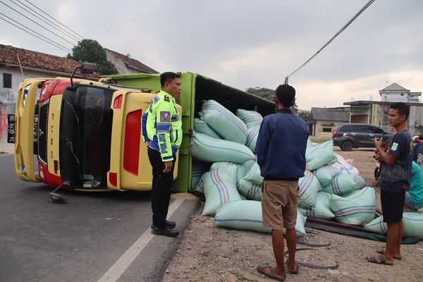 Pecah Ban, Truk Pengangkut Gabah Terguling di Jalinbar Pringsewu
