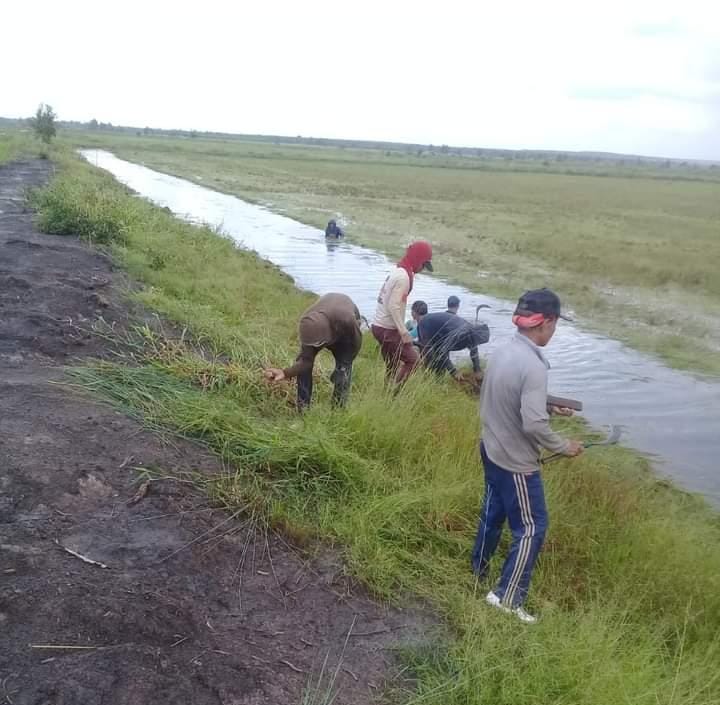 “Sop Sedap” Inovda PUPR Mesuji Diyakini Mampu Tingkatkan Produksi Padi Petani