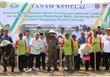 Gubernur Lampung Gandeng Mentan YSL dan Mendag Zulhas Dongkrak Peningkatan Produksi Kedelai