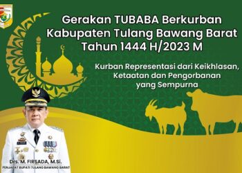 Gerakan Tubaba Berkurban, Pemkab Bagikan 163 Ekor Kambing dan 12 Sapi