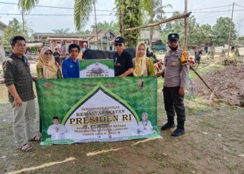 Sapi Kurban Presiden Jokowi Sudah Tiba Di Sri Tanjung, Pemkab Mesuji Juga Distribusikan 50 Ekor Sapi Kurban