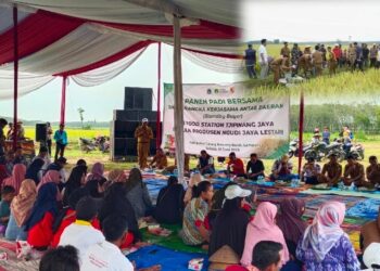 Panen Raya Padi di Tubaba, Poktan Jalin Kerjasama Penjualan