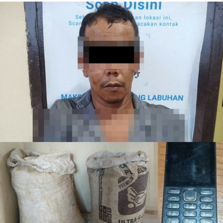 Polres di Way Kanan Bekuk Comon DPO Pelaku Curat di Dua TKP Berbeda