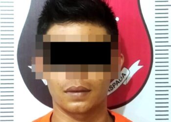 Polisi Way Kanan Ringkus Pelaku Curas di Ruko Agen BRIlink Way Tuba