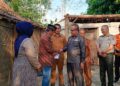 Lagi, Pemkab Mesuji Beri Bantuan Korban Rumah Tertimpa Pohon Kelapa 