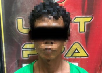 Akibat Cabuli Seorang Wanita, Pria ini Diringkus Polisi
