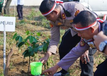 Tanam Ribuan Bibit Pohon, Kapolres Ajak Masyarakat Lampura Cintai Lingkungan