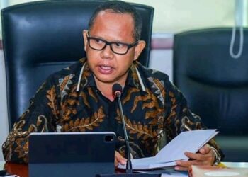 Karena Hal Ini Mendagri Beri Penghargaan Pemkab Mesuji