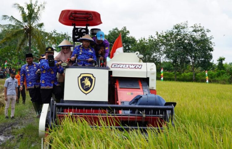 Berhasil Atasi Dampak El Nino, Mesuji Alami Surplus Beras