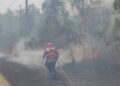 Lagi Kebakaran Lahan, Damkarmat Lamsel tak bosan ingatkan warga.
