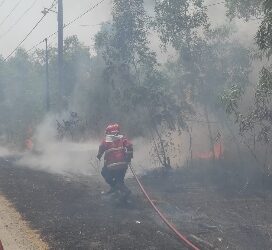 Lagi Kebakaran Lahan, Damkarmat Lamsel tak bosan ingatkan warga.