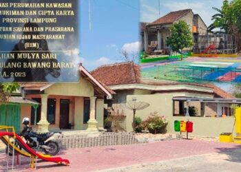 Proyek Provinsi H2M di Tubaba Diduga Bermasalah, Lurah : Bongkar