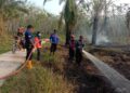 Sehari, 5 Lokasi Lahan Perkebunan Terbakar di Kecamatan Tanjung Raya