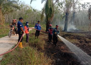 Sehari, 5 Lokasi Lahan Perkebunan Terbakar di Kecamatan Tanjung Raya