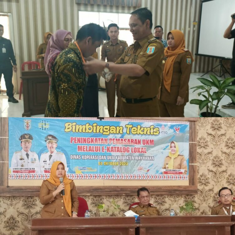 Wabup Ali Rahman Buka Bimtek Peningkatan Pemasaran UMKM Melalui E-katalok