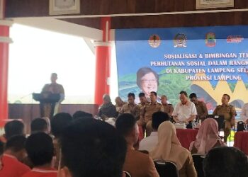 Hutan Register Jangan Dijadikan Jualan Politik, Masyarakat Jangan  Percaya Ulah Oknum Tidak Bertanggungjawab