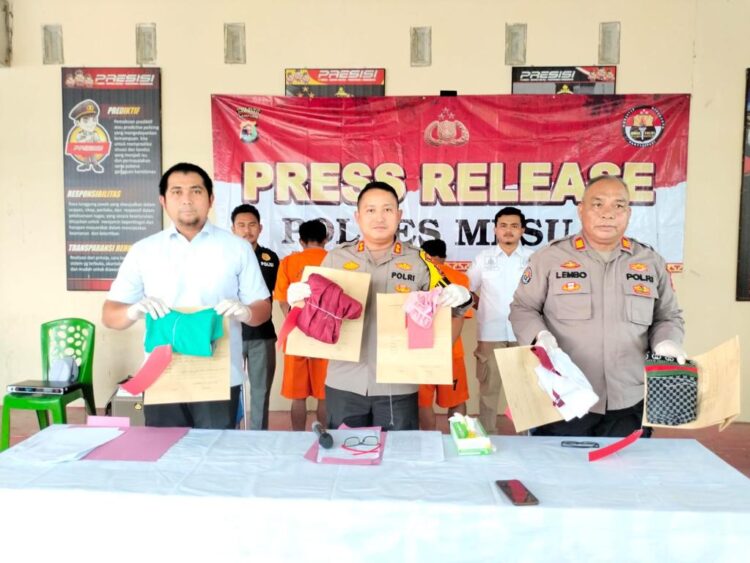 Lakukan Tindak Pidana Kekerasan Seksual Anak Di Bawah Umur, Dua Pria Paruh Baya di Mesuji Dibekuk Polisi