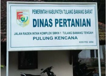 2024 Dinas TPHP Dapat Alokasi DBH Sawit Dari Pusat, Ada Untuk Infrastruktur PUPR.