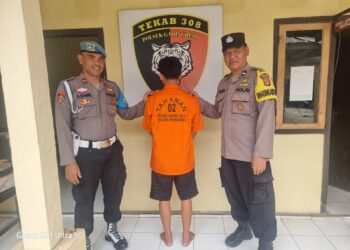 Sebulan Buron, DPO Pencuri Hewan Ternak di Tangkap Polisi