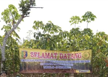 Kementan RI Tetapkan Kebun Entres DTPHP Sebagai Benih Unggul Bermutu Tinggi