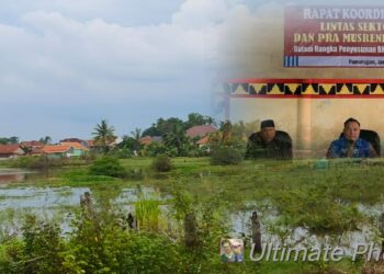 Waspadai Bencana Banjir, Pohon Tinggi Di Tebang, Camat : DBD Jadi Perhatian