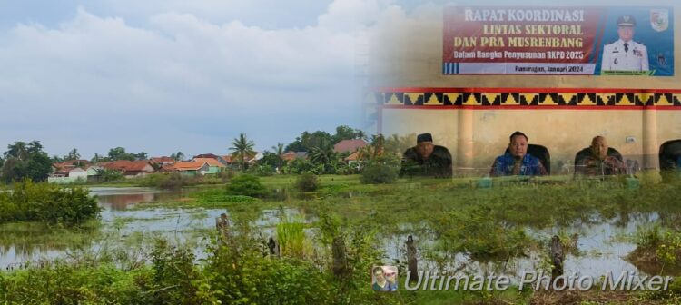 Waspadai Bencana Banjir, Pohon Tinggi Di Tebang, Camat : DBD Jadi Perhatian