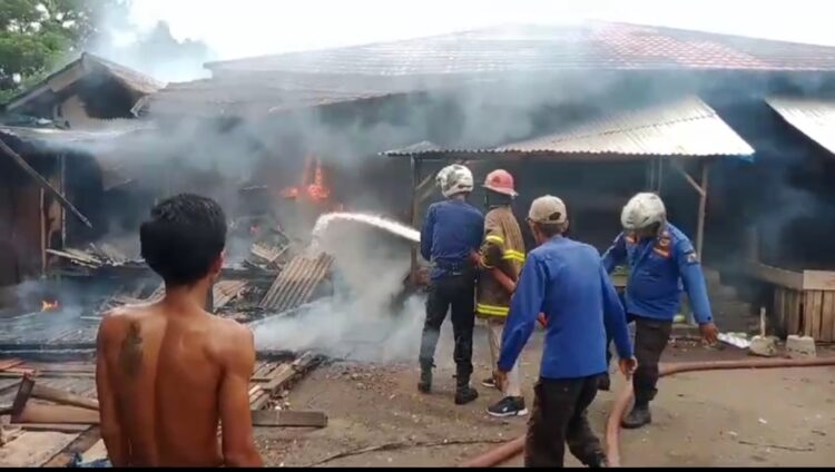 Puluhan Kios Toko Di Pasar Sentral Kotabumi Ludes Di Lalap Si Jago Merah